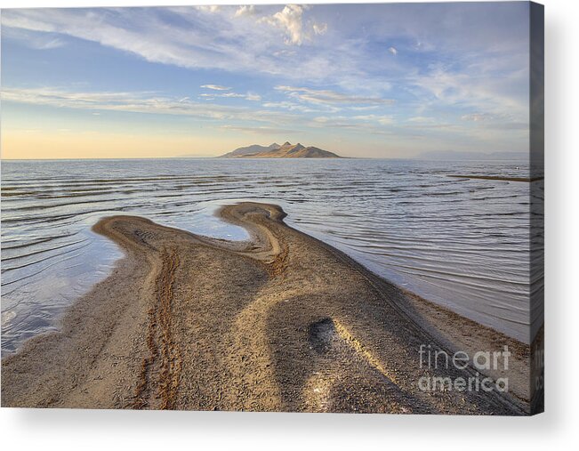 Antelope Acrylic Print featuring the photograph Antelope Island by Spencer Baugh