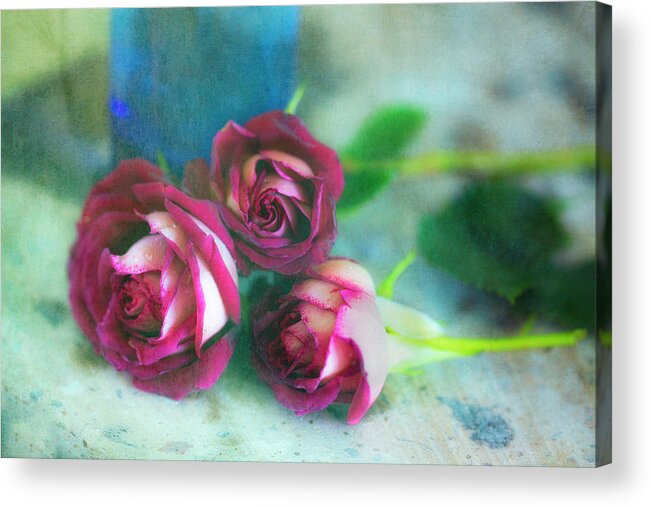 Roses Acrylic Print featuring the photograph Antique Roses by Jade Moon