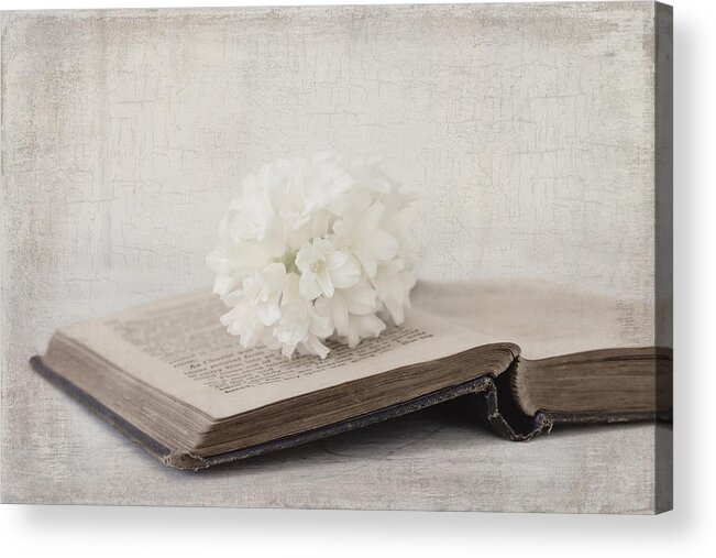 Hyacinth Acrylic Print featuring the photograph Antiqued by Kim Hojnacki