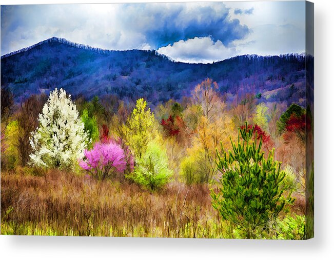 Trees Acrylic Print featuring the photograph Appalachian Spring in the Holler by John Haldane