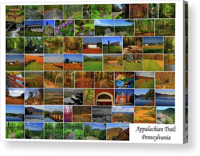 Appalachian Trail Pennsylvania Acrylic Print featuring the photograph Appalachian Trail Pennsylvania by Raymond Salani III