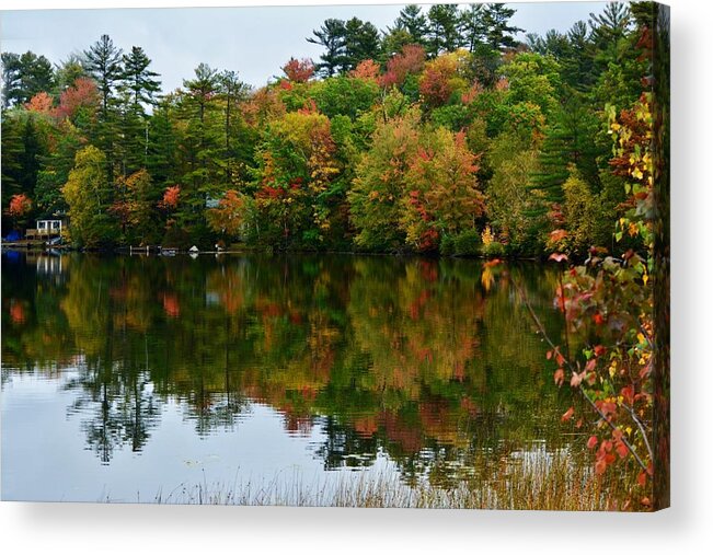 Fall Foliage Acrylic Print featuring the photograph Apple Cider and Pumpkin Pie by Carolyn Mickulas