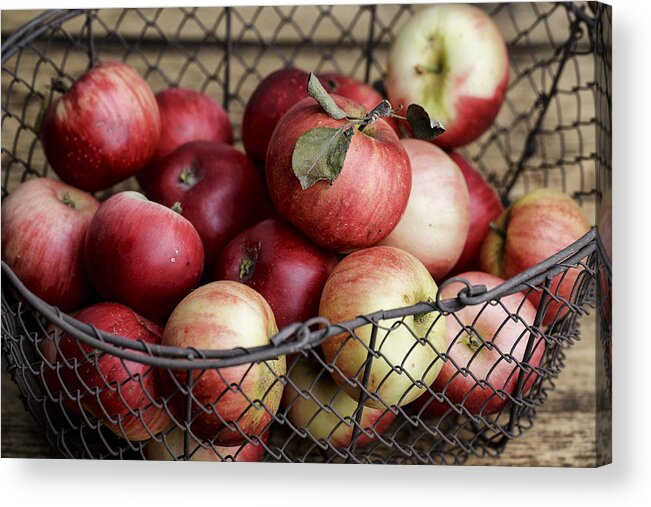 Apple Acrylic Print featuring the photograph Apples by Nailia Schwarz