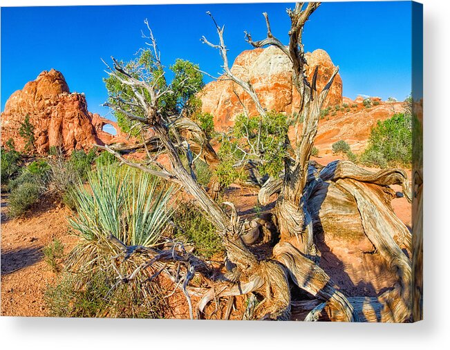 Utah Acrylic Print featuring the photograph Arch by Daniel George