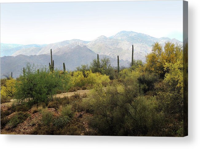 Beautiful Acrylic Print featuring the photograph Arizona Back Country by Gordon Beck