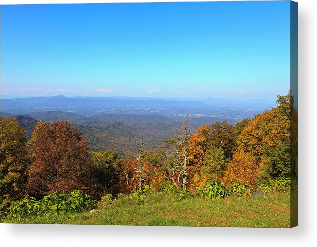 Great Acrylic Print featuring the photograph Arnold Valley in Virginia by Jill Lang