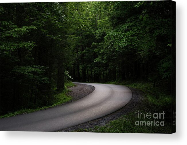 Drive Acrylic Print featuring the photograph Around The Bend by Andrea Silies