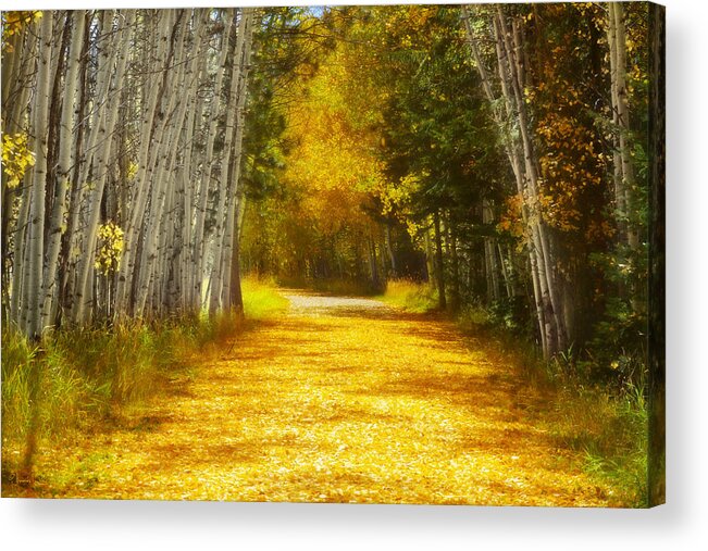 Aspens Acrylic Print featuring the photograph Say You'll Follow Me by Amanda Smith
