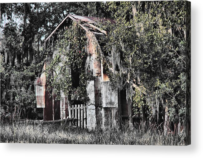 Barn Acrylic Print featuring the photograph At the Barn by Greg Sharpe