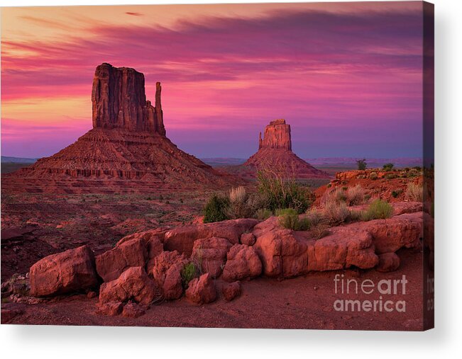 Mittens Acrylic Print featuring the photograph Atomic Mittens by Anthony Heflin