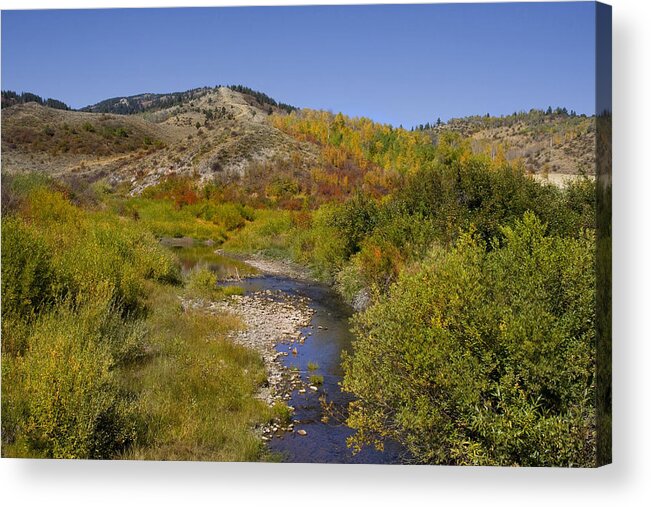 Colors Acrylic Print featuring the photograph Autum Stream by Mark Smith
