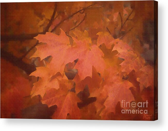 Autumn Acrylic Print featuring the photograph Autumn 2 by Jeff Breiman