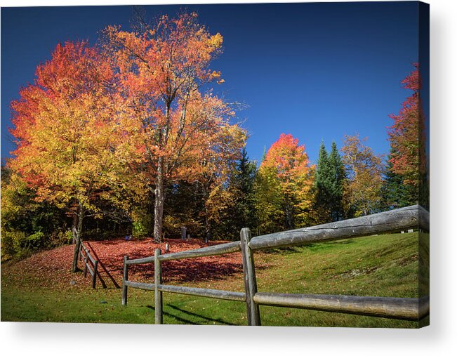 New Hampshire Acrylic Print featuring the photograph Autumn Color by Colin Chase