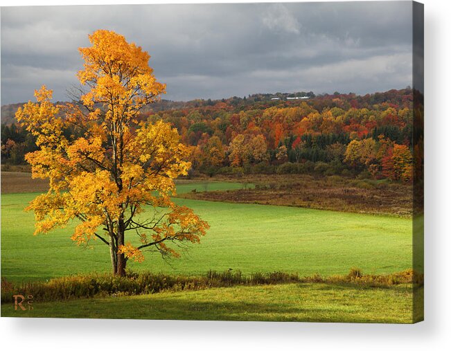 Autumn Acrylic Print featuring the photograph Autumn Colors by Robert Och