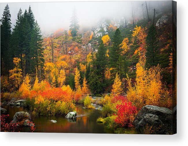 Fall Acrylic Print featuring the photograph Autumn Colors Symphony by Dan Mihai