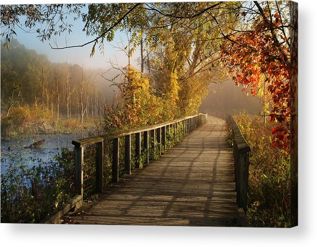 Marsh Acrylic Print featuring the photograph Autumn Emerging by Rob Blair