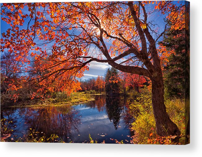 Kelly River Wilderness Area Acrylic Print featuring the photograph Autumn Glory by Irwin Barrett