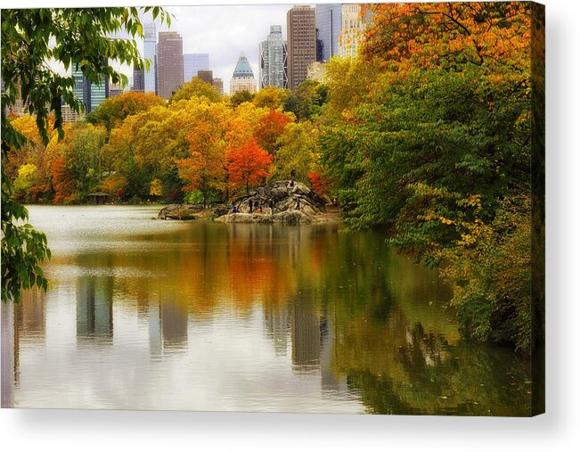 Nature Acrylic Print featuring the photograph Autumn in Central Park by Jessica Jenney