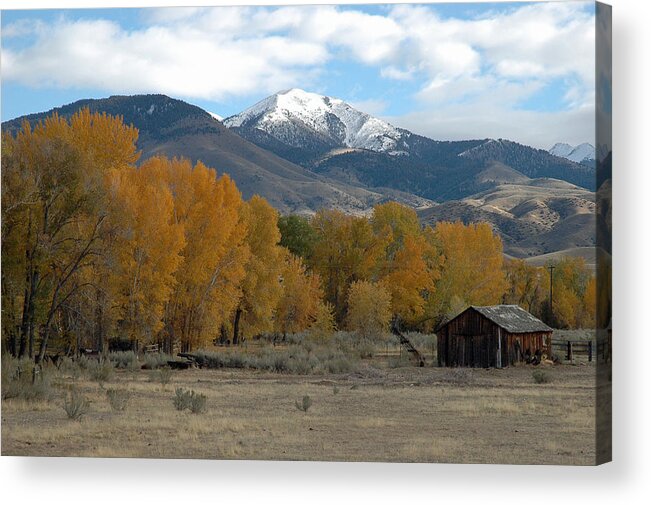 Autumn Acrylic Print featuring the photograph Autumn in Montana's Madison Valley by Bruce Gourley