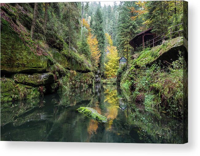 Autumn Acrylic Print featuring the photograph Autumn in the Kamnitz Gorge by Andreas Levi