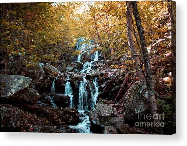 Dark Acrylic Print featuring the photograph Autumn in the Mountains by Rebecca Davis