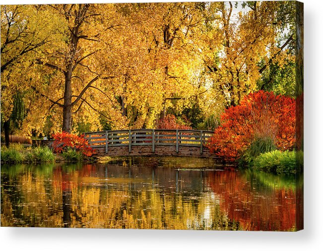 Hudson Gardens Acrylic Print featuring the photograph Autumn in the Park by Teri Virbickis