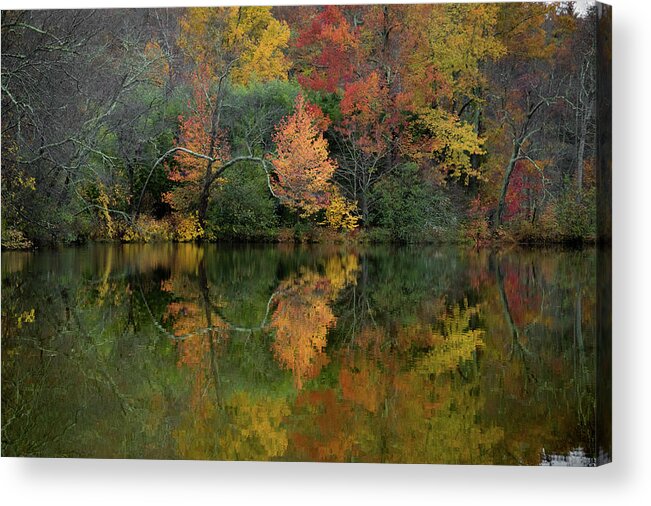 Lagoon Acrylic Print featuring the photograph Autumn Lagoon Reflection by Dan Farmer