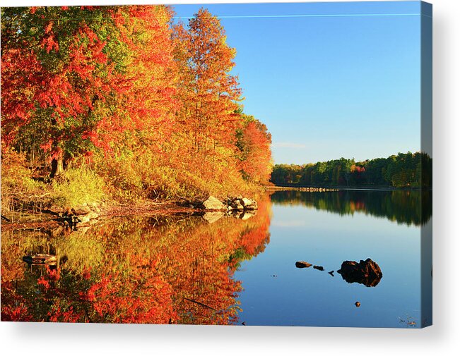 Greenwich Acrylic Print featuring the photograph Autumn Lake by James Kirkikis