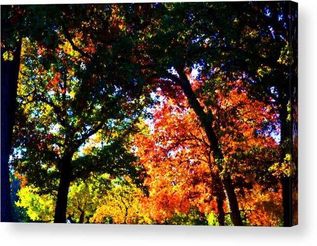 Autumncolors Acrylic Print featuring the photograph Autumn Light by Jacob Folger