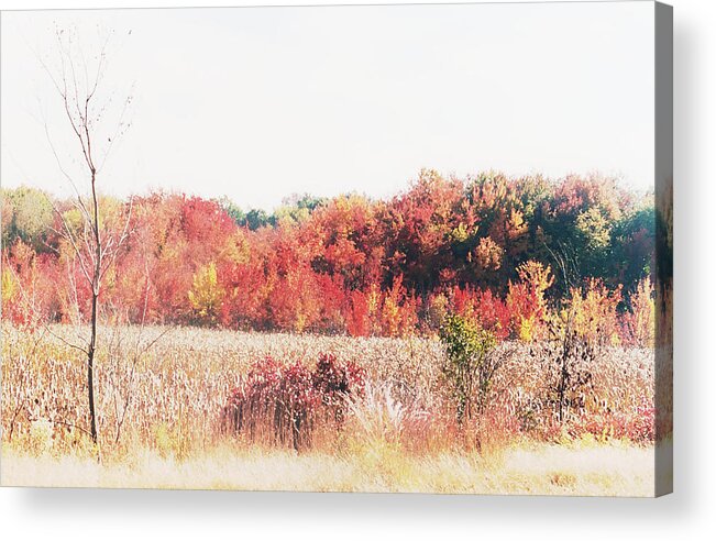 Fall Foliage Acrylic Print featuring the photograph Autumn New England by Geoff Jewett