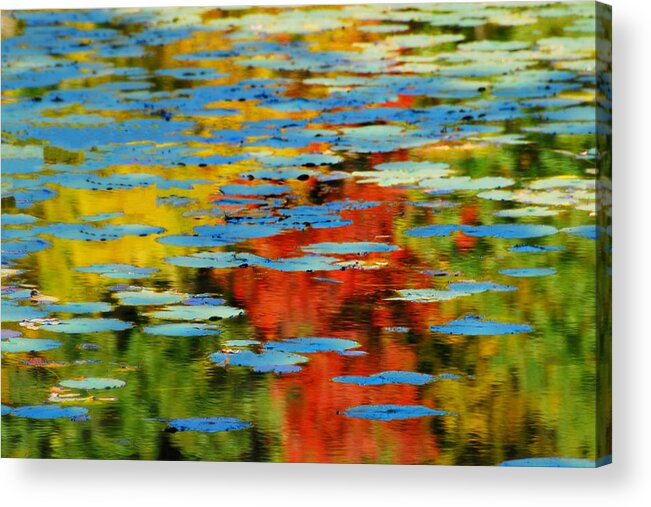 Lily Pads Reflect Acrylic Print featuring the photograph Autumn Lily Pads by Diana Angstadt