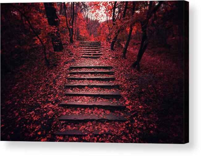 #faatoppicks Acrylic Print featuring the photograph Autumn Stairs by Zoltan Toth