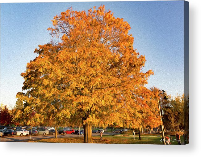 Fall Acrylic Print featuring the digital art Autumn Tree - Digital Oil by Birdly Canada