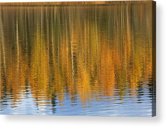 Autumn Acrylic Print featuring the photograph Autumn tree reflections by Elvira Butler