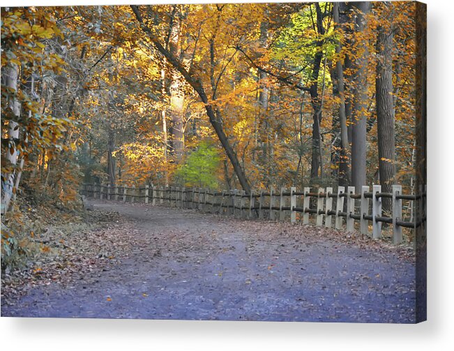 Autumn Acrylic Print featuring the photograph Autumn Walk near Valley Green by Bill Cannon