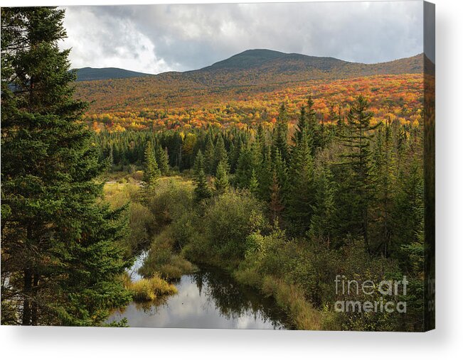 Autumn Acrylic Print featuring the photograph Autumn - White Mountains New Hampshire by Erin Paul Donovan
