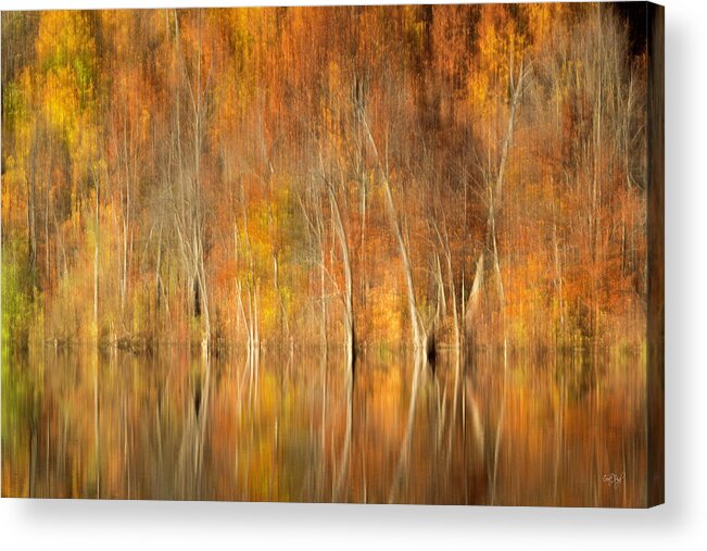 Color Acrylic Print featuring the photograph Autumns Final Palette by Everet Regal