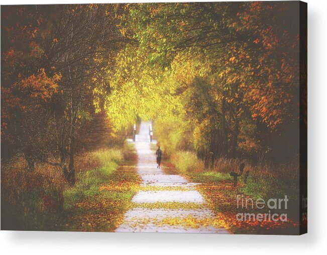 Trail Acrylic Print featuring the photograph Autumn's Path by Elizabeth Winter