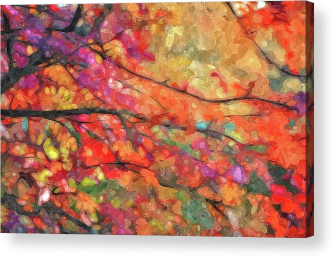 Autumn Acrylic Print featuring the photograph Autumns Splendorous Canvas by Andrea Kollo