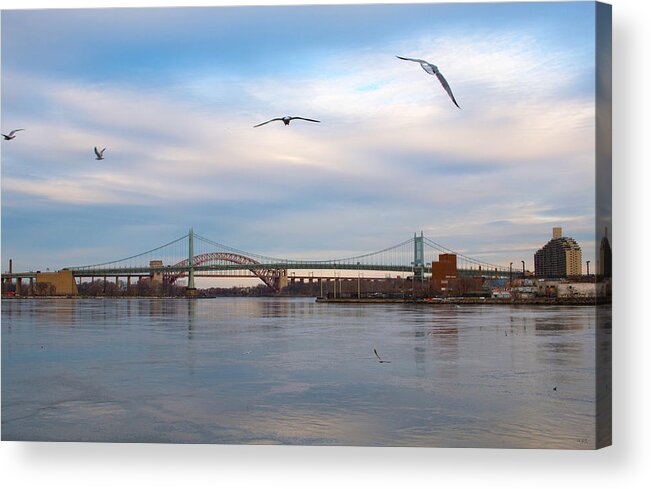 Birds Acrylic Print featuring the photograph Avigation by Robert Popa