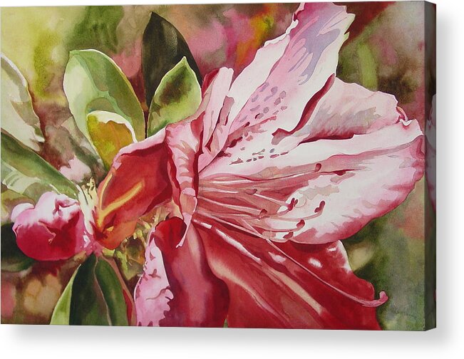 Watercolor Acrylic Print featuring the painting Azalea by Marlene Gremillion