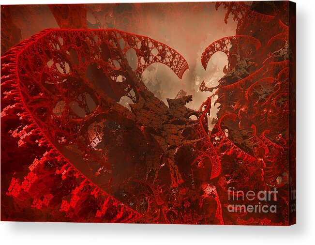 Blood Acrylic Print featuring the photograph B Type by Jonas Luis