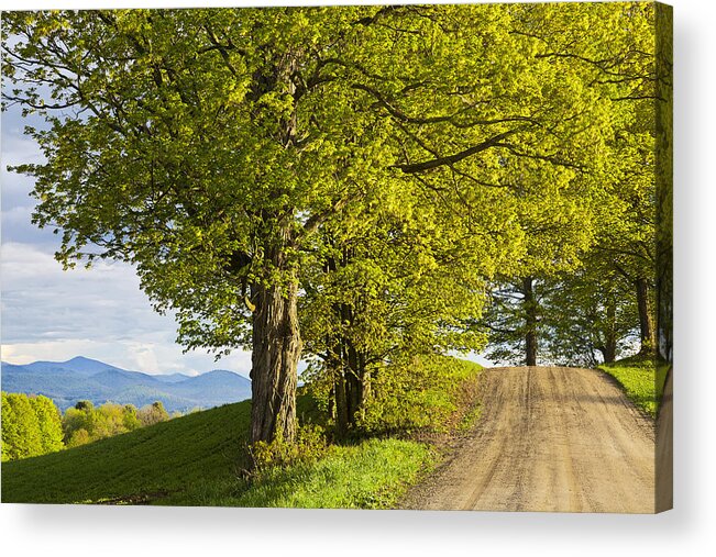 Spring Acrylic Print featuring the photograph Back Road Spring View by Alan L Graham