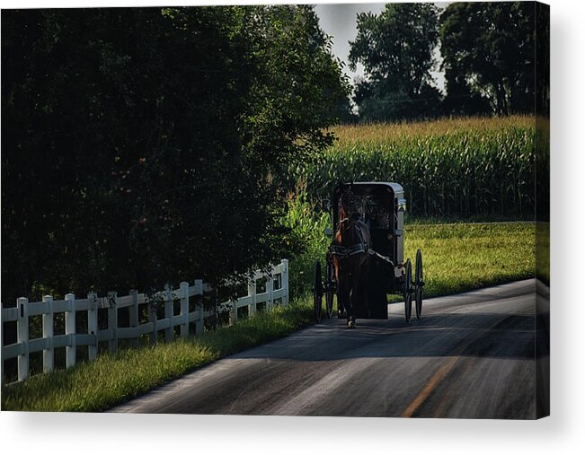 Amish Acrylic Print featuring the photograph Back Roads in Lancaster by Tricia Marchlik