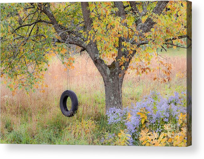 Fall Acrylic Print featuring the photograph Backyard Tree Swing by Alan L Graham