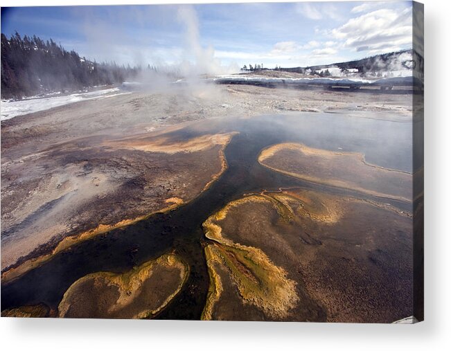 Hotsprings Acrylic Print featuring the photograph Bacterial Flow by Mary Haber