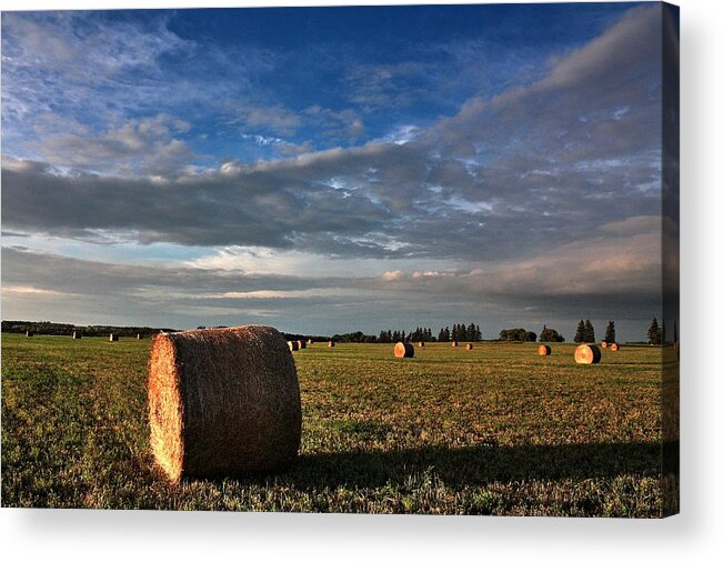 Rain Thunder Wet Drops Elevator Terminal Hay Canola Rape Sunset Evening Trail Wagon Covered Wagon Clouds Storms Elevator Grain  Sunset Acrylic Print featuring the photograph Bale by David Matthews