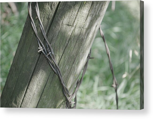 Barbwire Acrylic Print featuring the photograph Barbwire Shadow by Troy Stapek