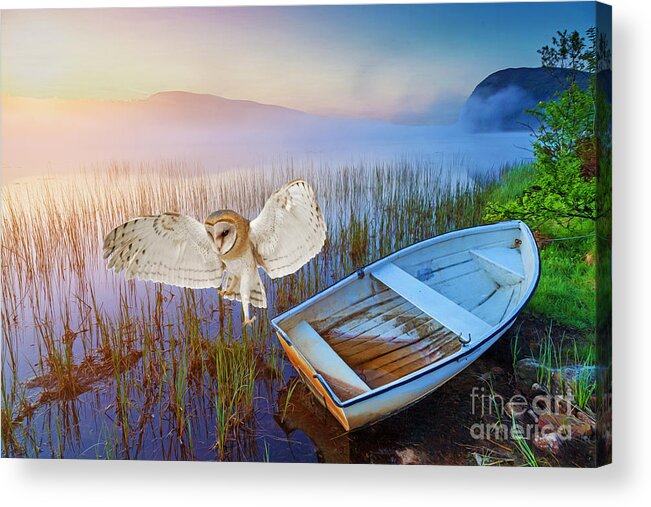 Barn Owl Acrylic Print featuring the photograph Barn Owl and Boat by Laura D Young