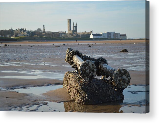 Barnacles Acrylic Print featuring the photograph Barnacles On Boat Debris by Adrian Wale